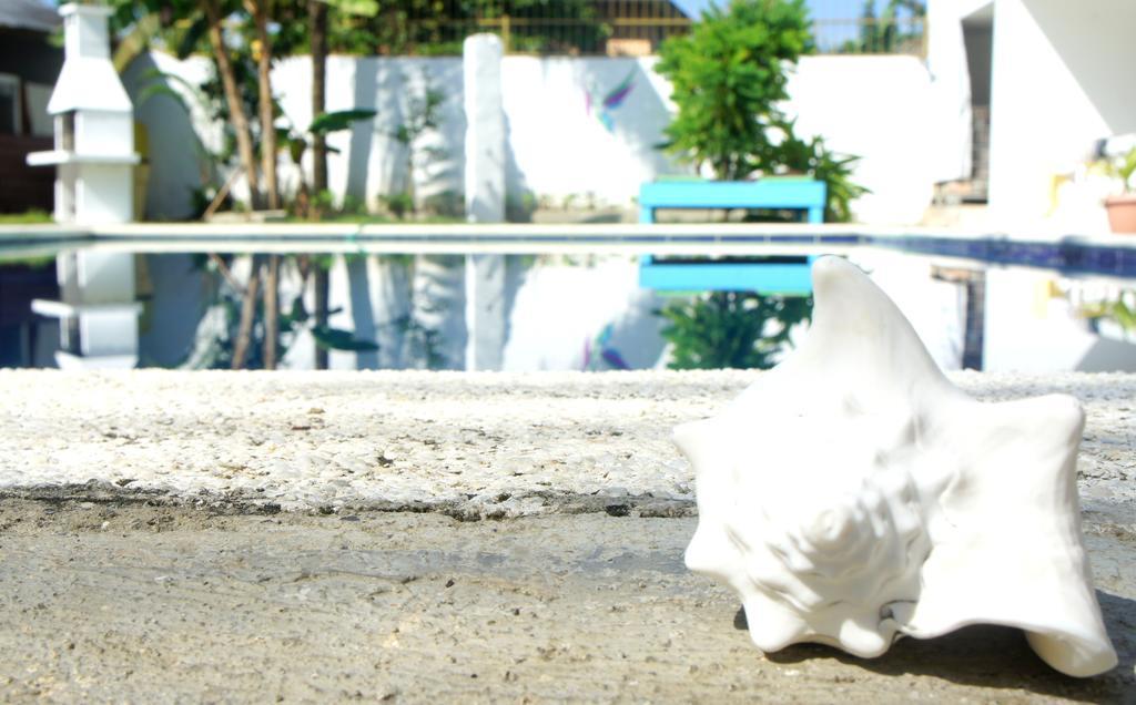 Hummingbird Cabarete Aparthotel Exterior photo