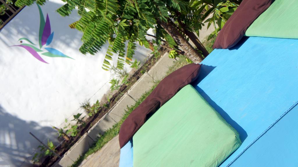 Hummingbird Cabarete Aparthotel Exterior photo